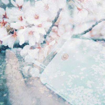 波胆app官网手机app下载截图